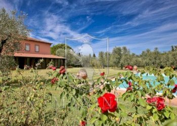 Villa Unifamiliare Orbetello - foto 10