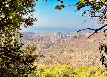 12 - Rustico via Lamberto Loria, Genova (zona Marassi) - foto 12