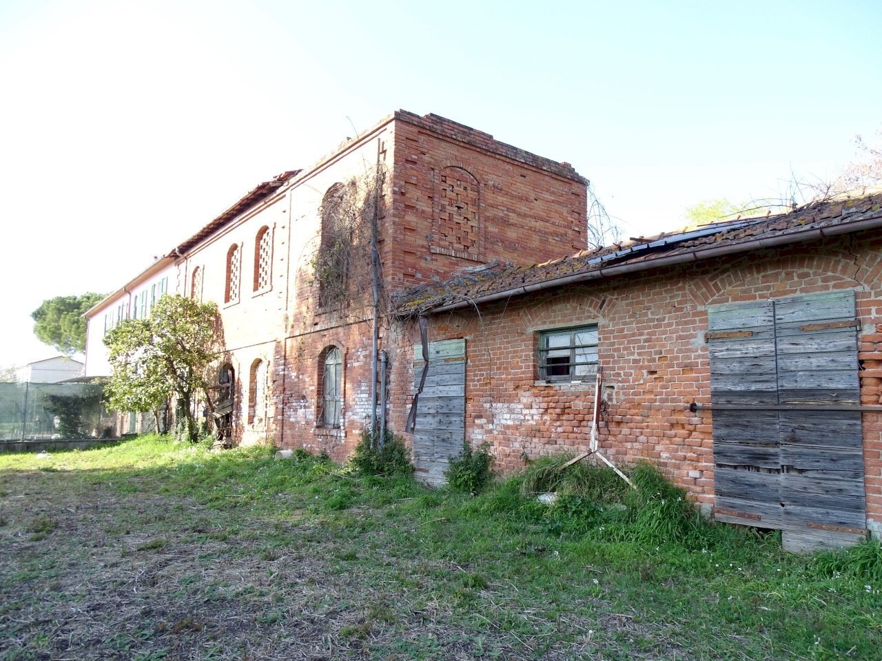 DSC07361.jpg - Rustic Castelnuovo Magra - photo 3