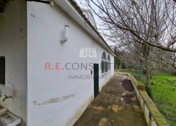 20220307_091711.jpg - Villa SP14 15, Martina Franca - foto 4