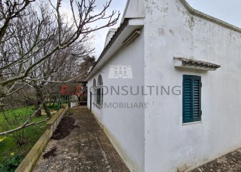 20220307_091900.jpg - Villa SP14 15, Martina Franca - foto 8