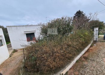 20220307_092111.jpg - Villa SP14 15, Martina Franca - foto 11