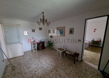 20220307_092923.jpg - Villa SP14 15, Martina Franca - foto 20