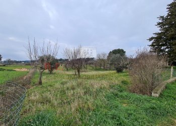 20220307_094212.jpg - Villa SP14 15, Martina Franca - foto 27