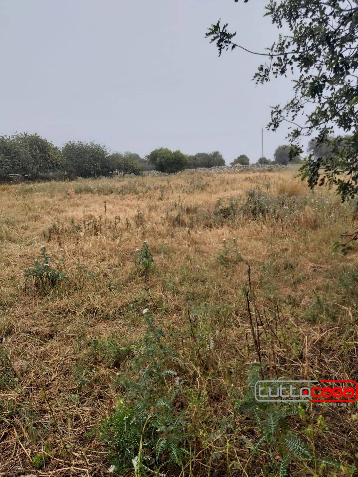 Terreno agricolo CONTRADA GUADAGNA, Modica - foto 1