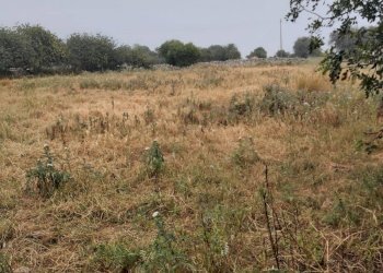 Terreno agricolo CONTRADA GUADAGNA, Modica - foto 1