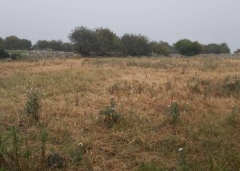 Terreno agricolo CONTRADA GUADAGNA, Modica - foto 2