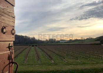 22.jpeg - Trilocale Contrà Corte S. Eusebio 15, Bassano del Grappa - foto 16