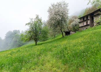 Casa semi indipendente Borgata Grangie, Pradleves - foto 21