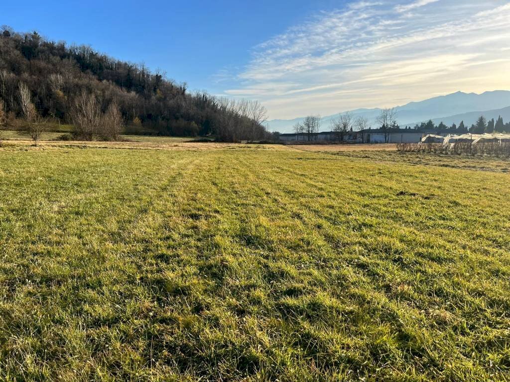 Terreno agricolo Pinerolo - foto 2