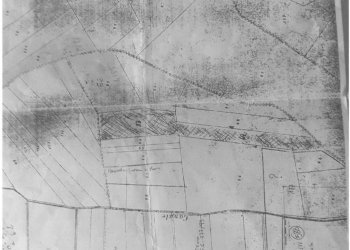 Terreno agricolo Pinerolo - foto 9