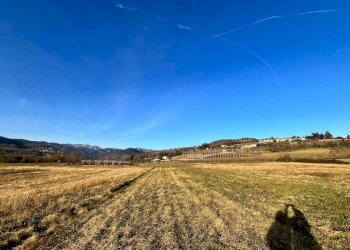 Terreno agricolo Pinerolo - foto 5