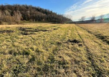 Terreno agricolo Pinerolo - foto 6