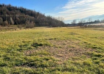 Terreno agricolo Pinerolo - foto 7