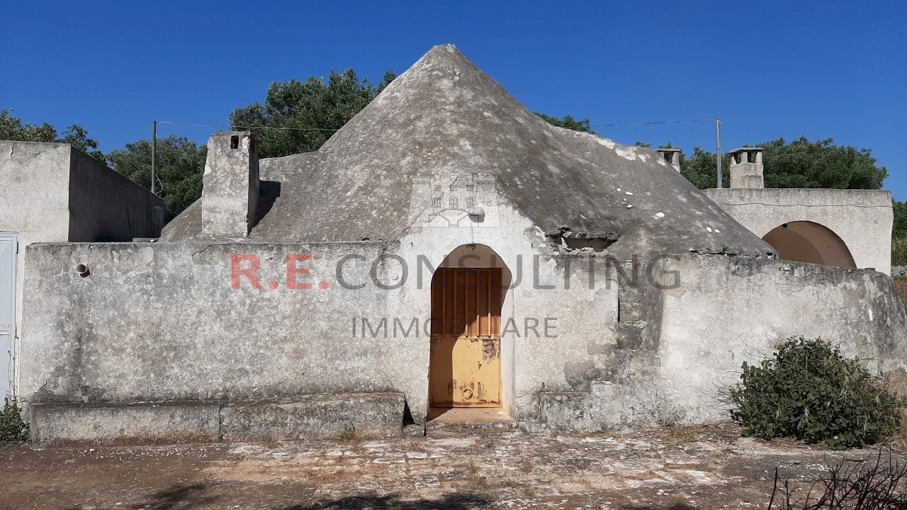 20200607_093258.jpg - Agricultural land c.da Abate Ventura, Ostuni - photo 3