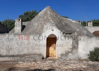 20200607_093258.jpg - Terreno agricolo c.da Abate Ventura, Ostuni - foto 3