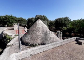 20200607_092936.jpg - Terreno agricolo c.da Abate Ventura, Ostuni - foto 4