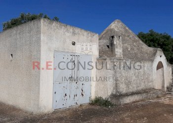 20200607_093230.jpg - Terreno agricolo c.da Abate Ventura, Ostuni - foto 5