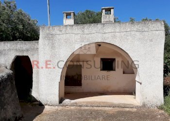 20200607_093506.jpg - Terreno agricolo c.da Abate Ventura, Ostuni - foto 6