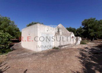 20200607_093233.jpg - Terreno agricolo c.da Abate Ventura, Ostuni - foto 7