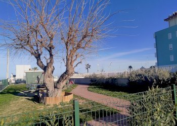 Trilocale Via Sergio Turone, 19, Martinsicuro - foto 28