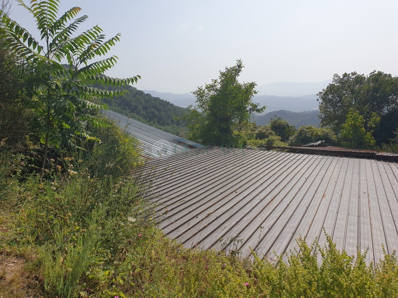 03.jpg - Magazzino Sarzana - foto 3