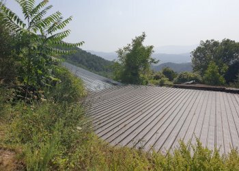 03.jpg - Magazzino Sarzana - foto 3