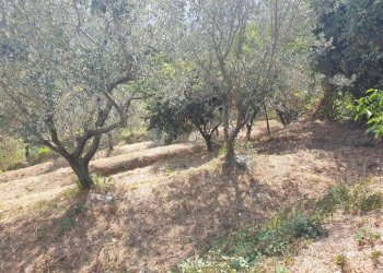 05.jpg - Magazzino Sarzana - foto 5