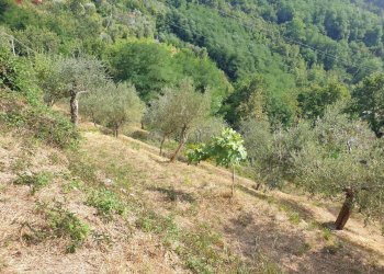 06.jpg - Magazzino Sarzana - foto 6