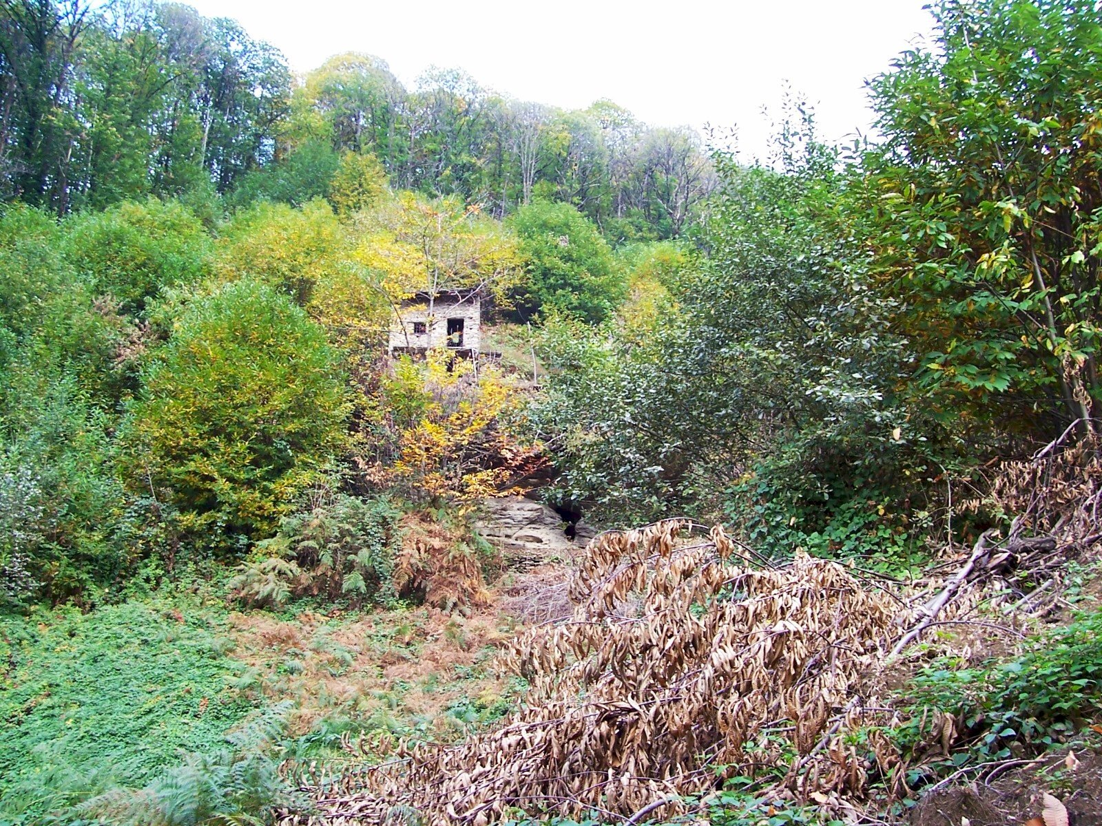 Rustic Barge - photo 3