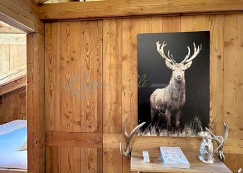 VENDITA COURMAYEUR - INGRESSO - Trilocale Via Circonvallazione 11, Courmayeur - foto 2