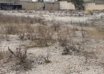 WhatsApp Image 2022-04-02 at 12.32.50 (2).jpeg - Building land Sassari - photo 3