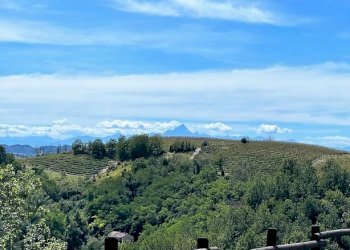 Independent house Canale - photo 12