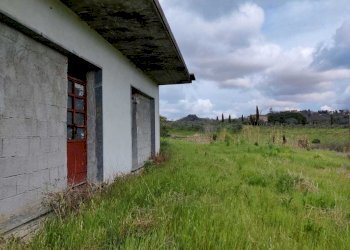 IMG-20220402-WA0002.jpg - Rustico Via Vicinale dello Stecchino, Lucca - foto 1