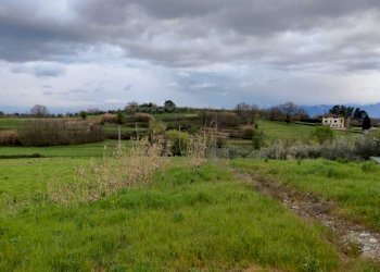 IMG-20220402-WA0006.jpg - Rustico Via Vicinale dello Stecchino, Lucca - foto 5