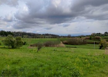 IMG-20220402-WA0008.jpg - Rustico Via Vicinale dello Stecchino, Lucca - foto 7