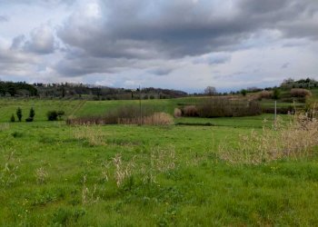 IMG-20220402-WA0011.jpg - Rustico Via Vicinale dello Stecchino, Lucca - foto 10