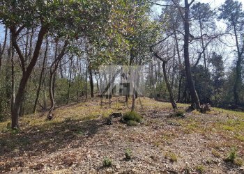 villa-vendita-lucca-s.anna-2-unita_28.jpg - Villa Via montebonelli, Lucca - foto 6