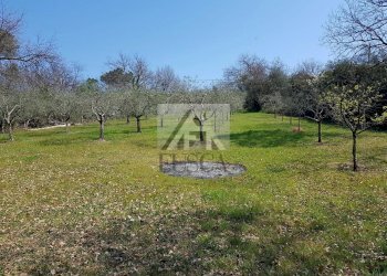 villa-vendita-lucca-s.anna-2-unita_35.jpg - Villa Via montebonelli, Lucca - foto 8