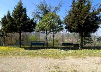 Rustico Valsamoggia - foto 13