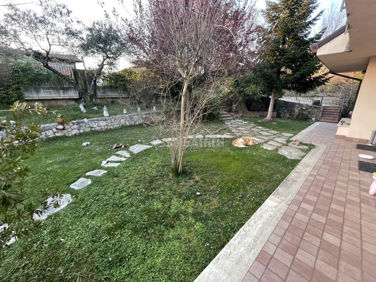 IMG_0955.JPG - Appartamento Frosinone - foto 1