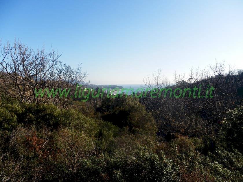 Terreno edificabile Savona (zona Villetta) - foto 1