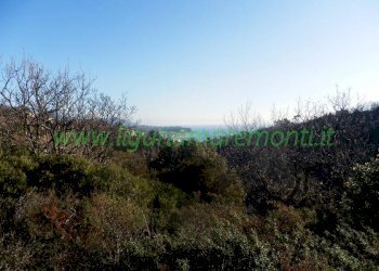 Terreno edificabile Savona (zona Villetta) - foto 1