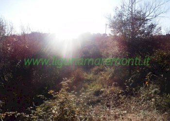 Terreno edificabile Savona (zona Villetta) - foto 4