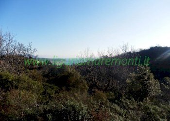 Terreno edificabile Savona (zona Villetta) - foto 6