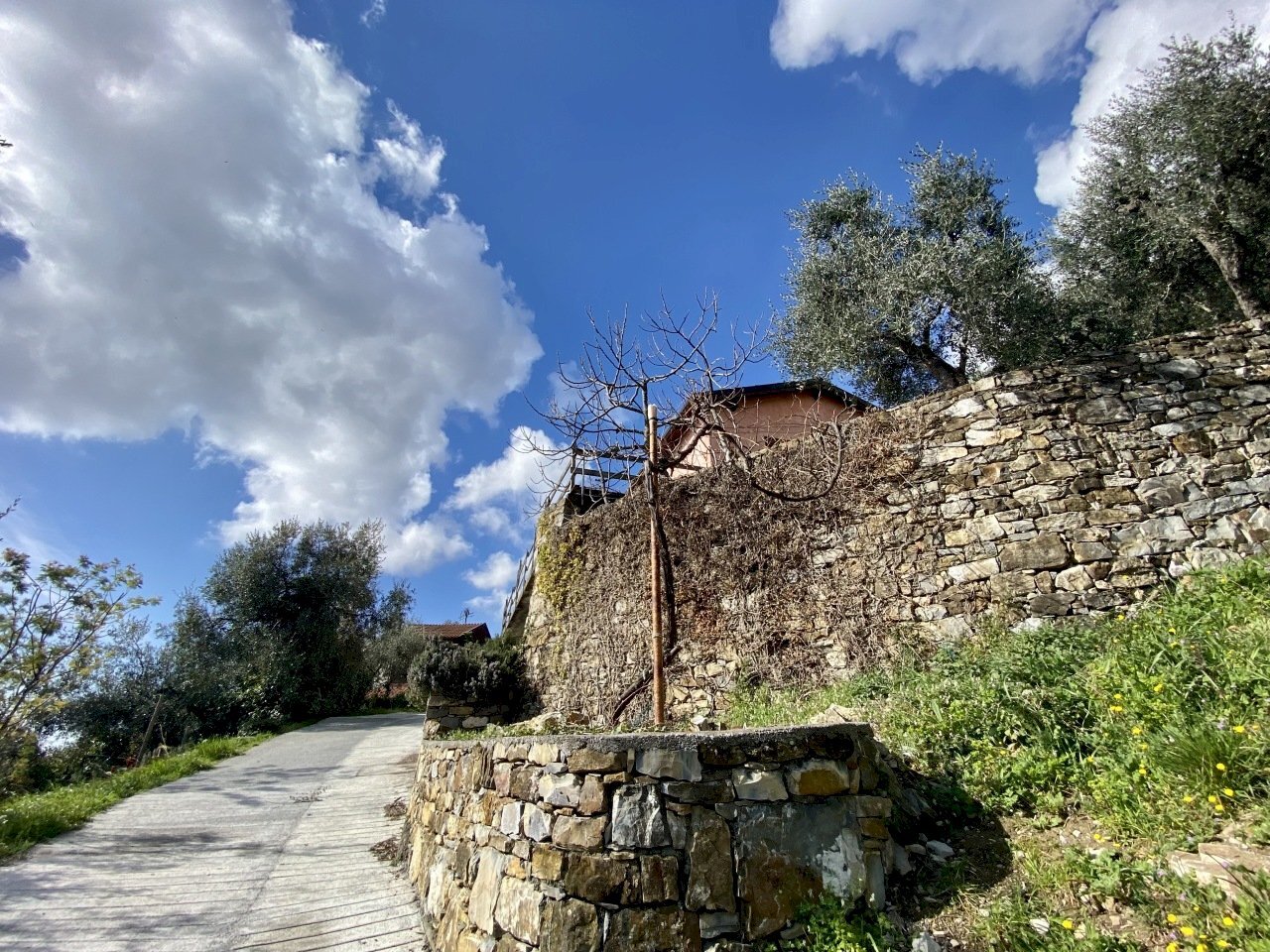 IMG_5480.jpeg - Villa Via F. Cascione 31, Villa Faraldi - foto 2