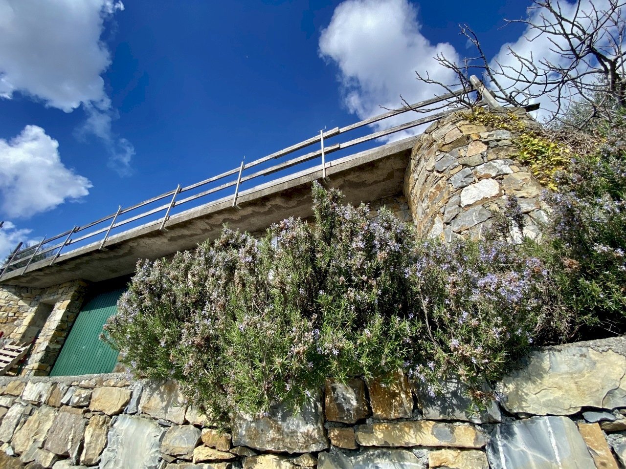 IMG_5481.jpeg - Villa Via F. Cascione 31, Villa Faraldi - foto 3