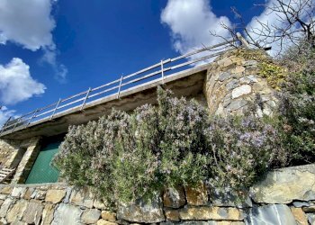 IMG_5481.jpeg - Villa Via F. Cascione 31, Villa Faraldi - foto 3