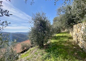 IMG_5498.jpeg - Villa Via F. Cascione 31, Villa Faraldi - foto 15