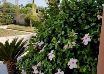 index2.jpg - Appartamento Siracusa - foto 5